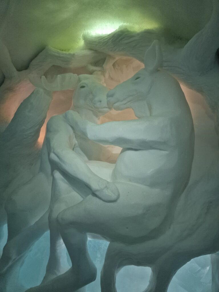 20250330_115105